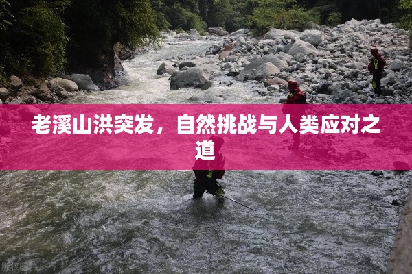 老溪山洪突发,自然挑战与人类应对之道