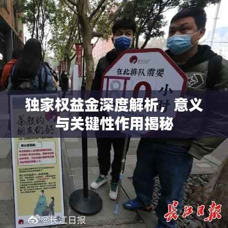 独家权益金深度解析，意义与关键性作用揭秘
