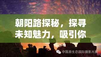 bainiaozhengming 第4页