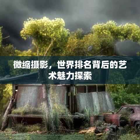 微缩摄影,世界排名背后的艺术魅力探索