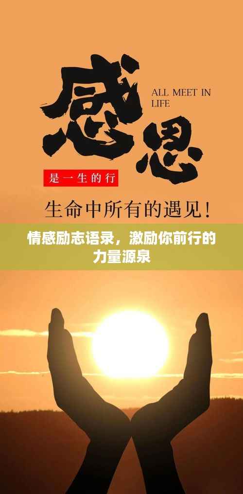 情感励志语录，激励你前行的力量源泉