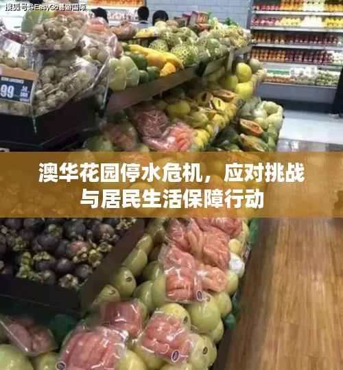 澳华花园停水危机,应对挑战与居民生活保障行动