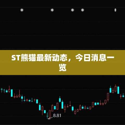 ST熊猫最新动态，今日消息一览