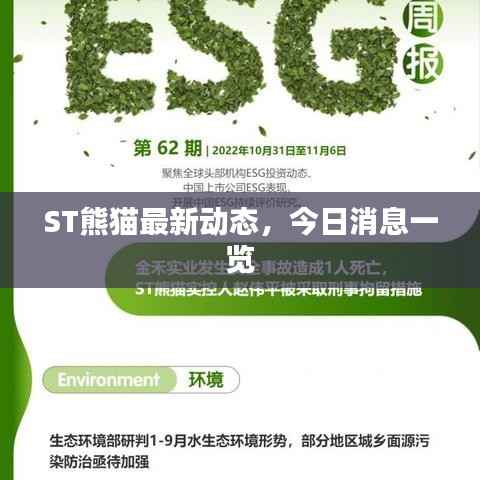 ST熊猫最新动态,今日消息一览