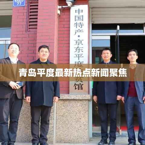 青岛平度最新热点新闻聚焦