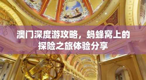 zhuodiaoweipu 第4页