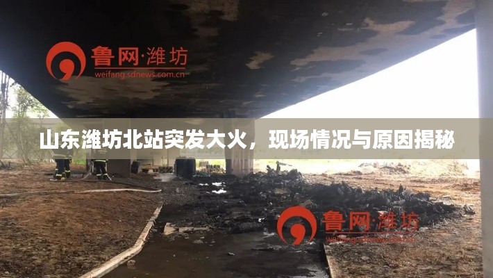 山东潍坊北站突发大火,现场情况与原因揭秘